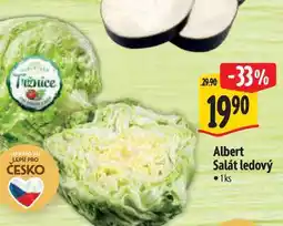 Albert Albert Salát ledový 1ks nabídka