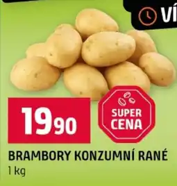 Terno Brambory konzumní rané nabídka
