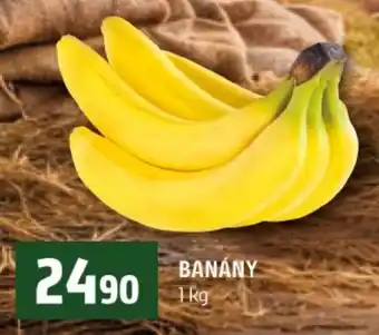 Terno Banány nabídka