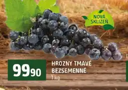 Terno Hrozny tmavé bezsemenné nabídka