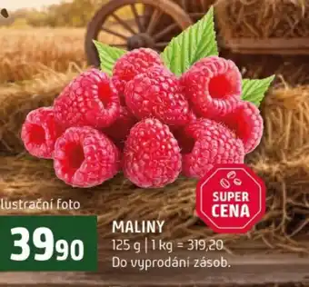 Terno Maliny nabídka