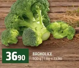Terno Brokolice nabídka