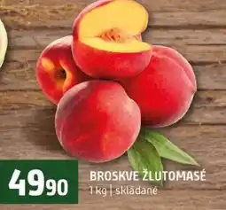 Terno Broskve žlutomasé nabídka