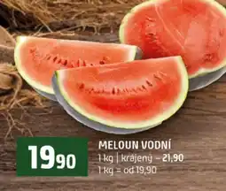 Terno Meloun vodní nabídka