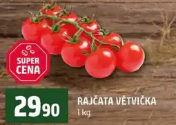 Terno Rajčata větvička nabídka