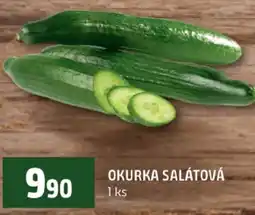 Terno Okurka salátová nabídka