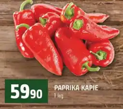 Terno Paprika kapie nabídka