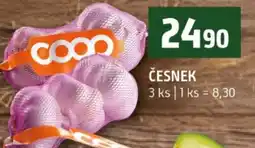 Terno Česnek nabídka