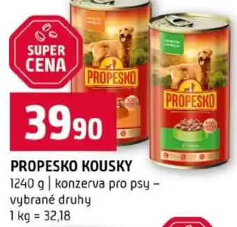 Terno Propesko kousky nabídka