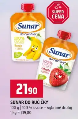 Terno Sunar do ručičky nabídka