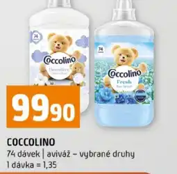 Terno Coccolino nabídka