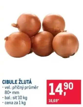 Makro Cibule žlutá nabídka