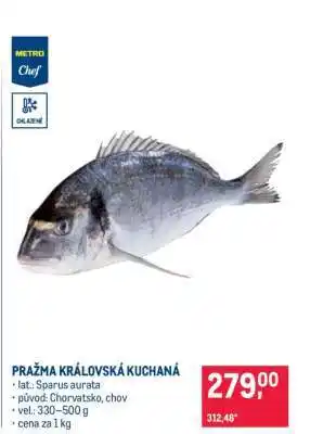 Pražma královská kuchaná