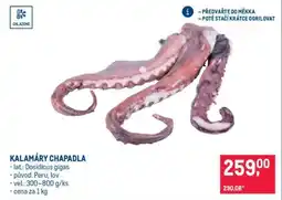 Makro Kalamáry chapadla nabídka