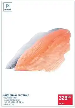 Makro Losos obecný filet trim D nabídka