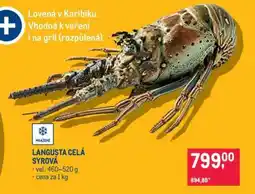 Makro LANGUSTA CELÁ SYROVÁ nabídka