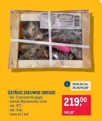 ÚSTŘICE ZEEUWSE CREUSE