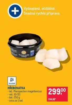 Hřebenatka