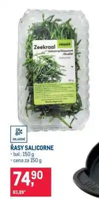 Makro Řasy Salicorne nabídka