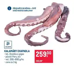 Makro Kalamáry chapadla nabídka