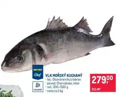 Makro Vlk mořský kuchaný nabídka