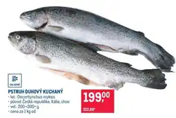 Makro Pstruh duhový kuchaný nabídka