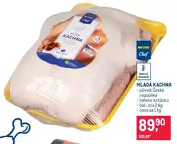 Makro MLADÁ KACHNA nabídka