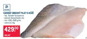 Makro Candát obecný filet s kůží nabídka