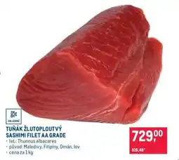 Makro Tuňák žlutoploutvý Sashimi filet AA grade nabídka