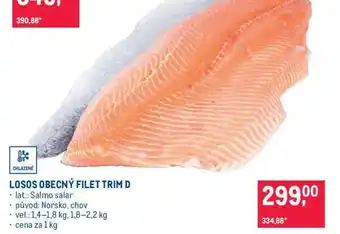 Losos obecný filet trim D