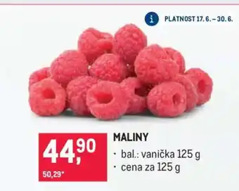 Makro Maliny nabídka