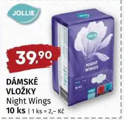 Terno DÁMSKÉ VLOŽKY Night Wings nabídka