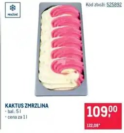 Makro Kaktus zmrzlina nabídka