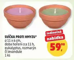 Penny Market Svíčka proti hmyzu nabídka