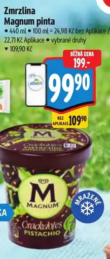Albert Zmrzlina Magnum pinta nabídka