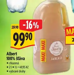 Albert Albert 100% šťáva nabídka