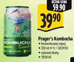 Albert Prager's Kombucha nabídka