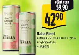 Albert Italia Pinot nabídka