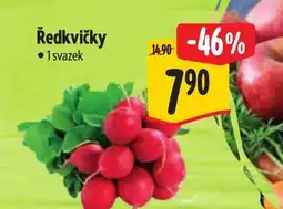 Albert Ředkvičky nabídka