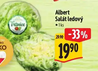 Albert Albert Salát ledový nabídka