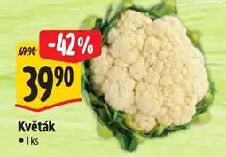 Albert Květák nabídka