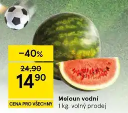 Tesco MELOUN VODNÍ nabídka