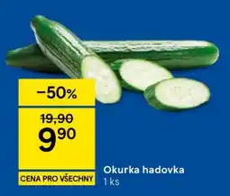 Tesco Okurka hadovka nabídka