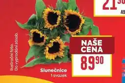 Billa Slunečnice 1 svazek nabídka
