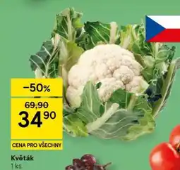 Tesco Květák nabídka