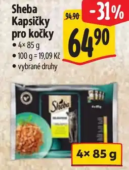 Albert Sheba Kapsičky pro kočky nabídka