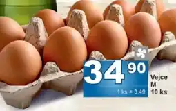Jip Vejce M nabídka