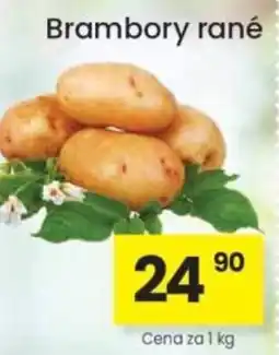Kubík potraviny Brambory rané nabídka