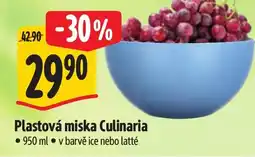 Albert Plastová miska Culinaria nabídka