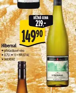 Albert Hibernal nabídka